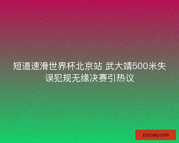 短道速滑世界杯北京站 武大靖500米失误犯规无缘决赛引热议