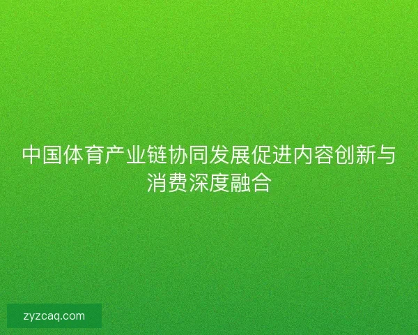 中国体育产业链协同发展促进内容创新与消费深度融合